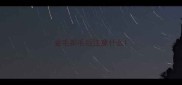 金毛剃毛后注意什么