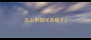 怎么帮猫咪系绳子