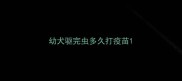 幼犬驱完虫多久打疫苗