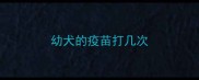 幼犬的疫苗打几次