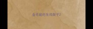 金毛能吃生鸡架子