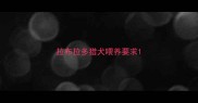 拉布拉多猎犬喂养要求