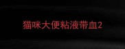 猫咪大便粘液带血