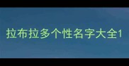 拉布拉多个性名字大全