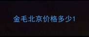金毛北京价格多少