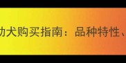福州长毛哈士奇幼犬购买指南品种特性饲养攻略与价格