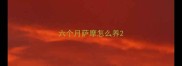 六个月萨摩怎么养