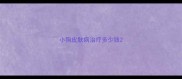 小狗皮肤病治疗多少钱