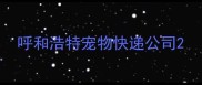 呼和浩特宠物快递公司
