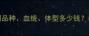 泰迪犬价格全不同品种血统体型多少钱养泰迪必看选购指南