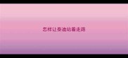 怎样让泰迪站着走路