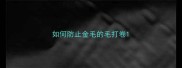 如何防止金毛的毛打卷