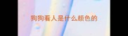 狗狗看人是什么颜色的