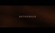 金毛不吃东西吐白沫