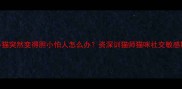 两个月大的小猫突然变得胆小怕人怎么办资深训猫师猫咪社交敏感期应对全攻略