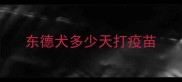 东德犬多少天打疫苗