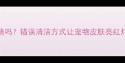 狗狗洗澡能用洗洁精吗错误清洁方式让宠物皮肤亮红灯附专业护理指南