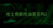 哈士奇能吃油菜花吗