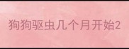 狗狗驱虫几个月开始