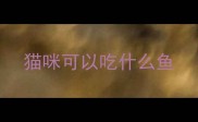 猫咪可以吃什么鱼