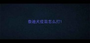 泰迪犬疫苗怎么打