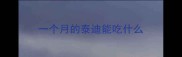 一个月的泰迪能吃什么