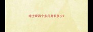 哈士奇四个多月身长多少