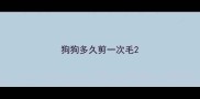 狗狗多久剪一次毛