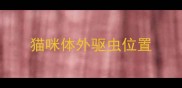 猫咪体外驱虫位置