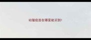 幼猫疫苗在哪里能买到