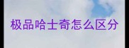 极品哈士奇怎么区分