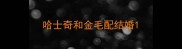 哈士奇和金毛配结婚