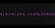 哈士奇5大核心品系全从外观特征到饲养指南