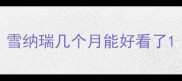 雪纳瑞几个月能好看了
