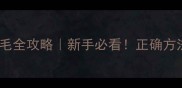 泰迪三个月剪胎毛全攻略新手必看正确方法避免悲剧发生