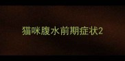 猫咪腹水前期症状