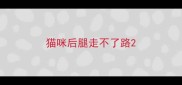 猫咪后腿走不了路