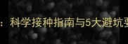 宠物狗疫苗全流程科学接种指南与5大避坑要点新手必看