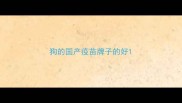 狗的国产疫苗牌子的好