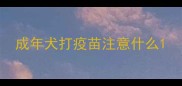成年犬打疫苗注意什么