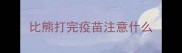 比熊打完疫苗注意什么