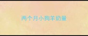 两个月小狗羊奶量