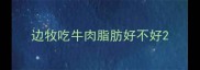 边牧吃牛肉脂肪好不好