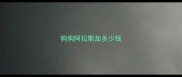 狗狗阿拉斯加多少钱