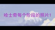 哈士奇每个阶段的照片