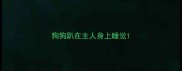 狗狗趴在主人身上睡觉