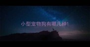 小型宠物狗有哪几种