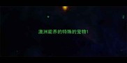 澳洲能养的特殊的宠物