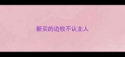 新买的边牧不认主人