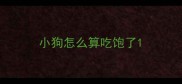 小狗怎么算吃饱了